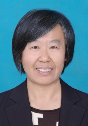 个人经历
